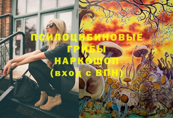 mdma Снежногорск
