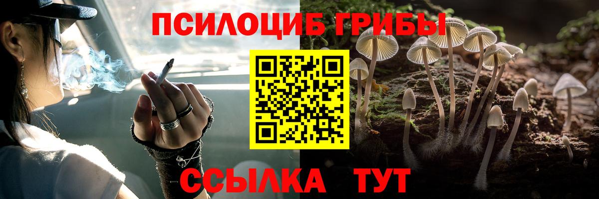 Галлюциногенные грибы прущие грибы  Вход с VPN  Вичуга  Псилоцибиновые грибы GOLDEN TEACHER 