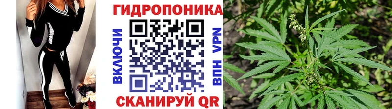 где найти наркотики Вичуга Марихуана гибрид